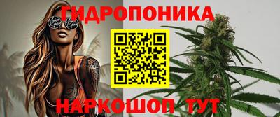 дживик Можга